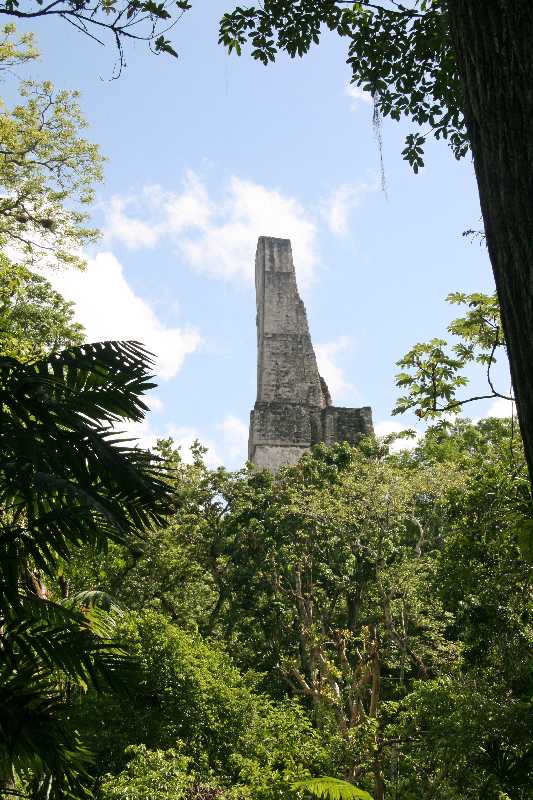 Mexico & Guatemala 2010 - 1082